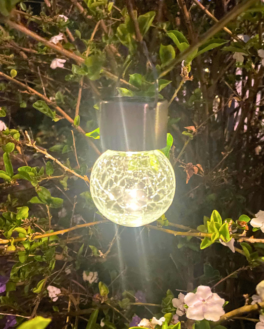 Solaris Crackle Globe