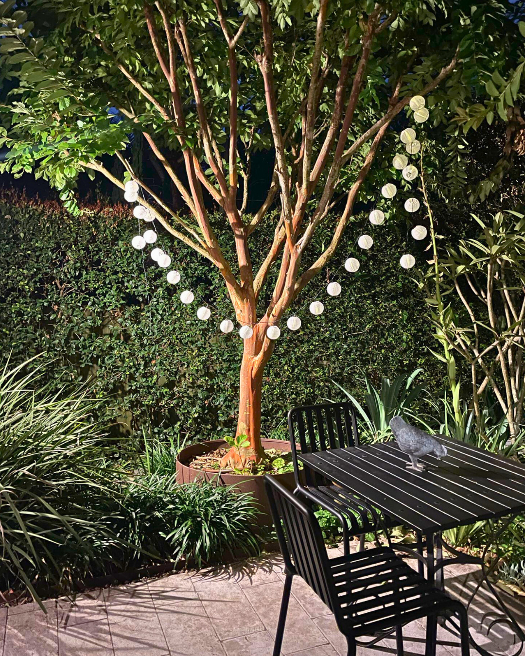 Solaris Lantern String Lights