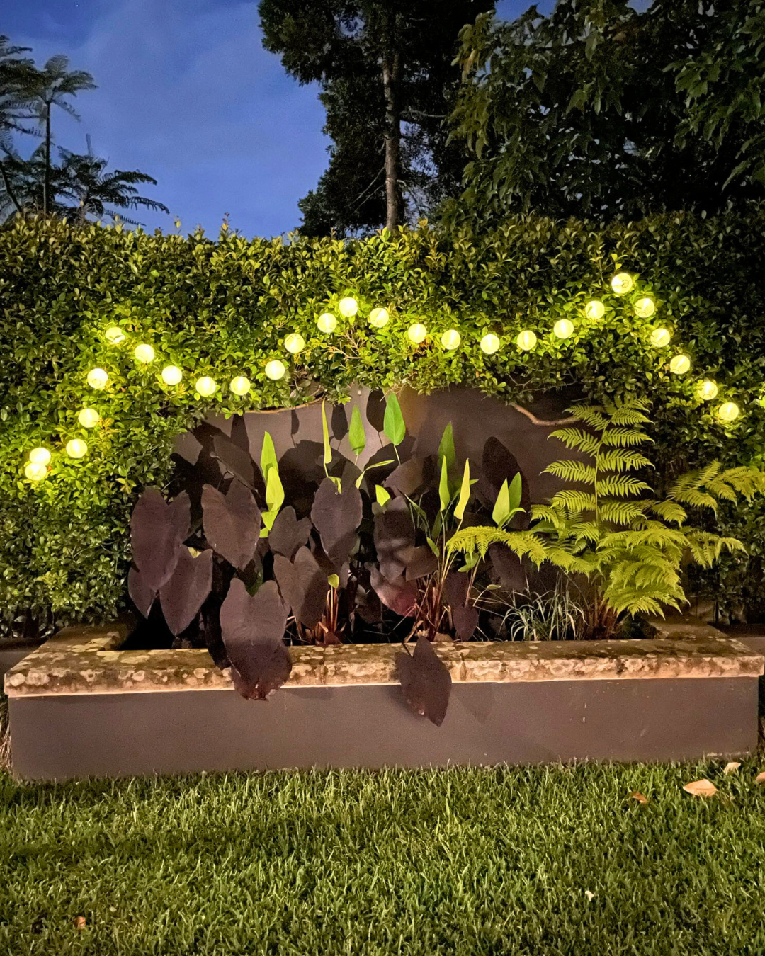 Solaris Lantern String Lights