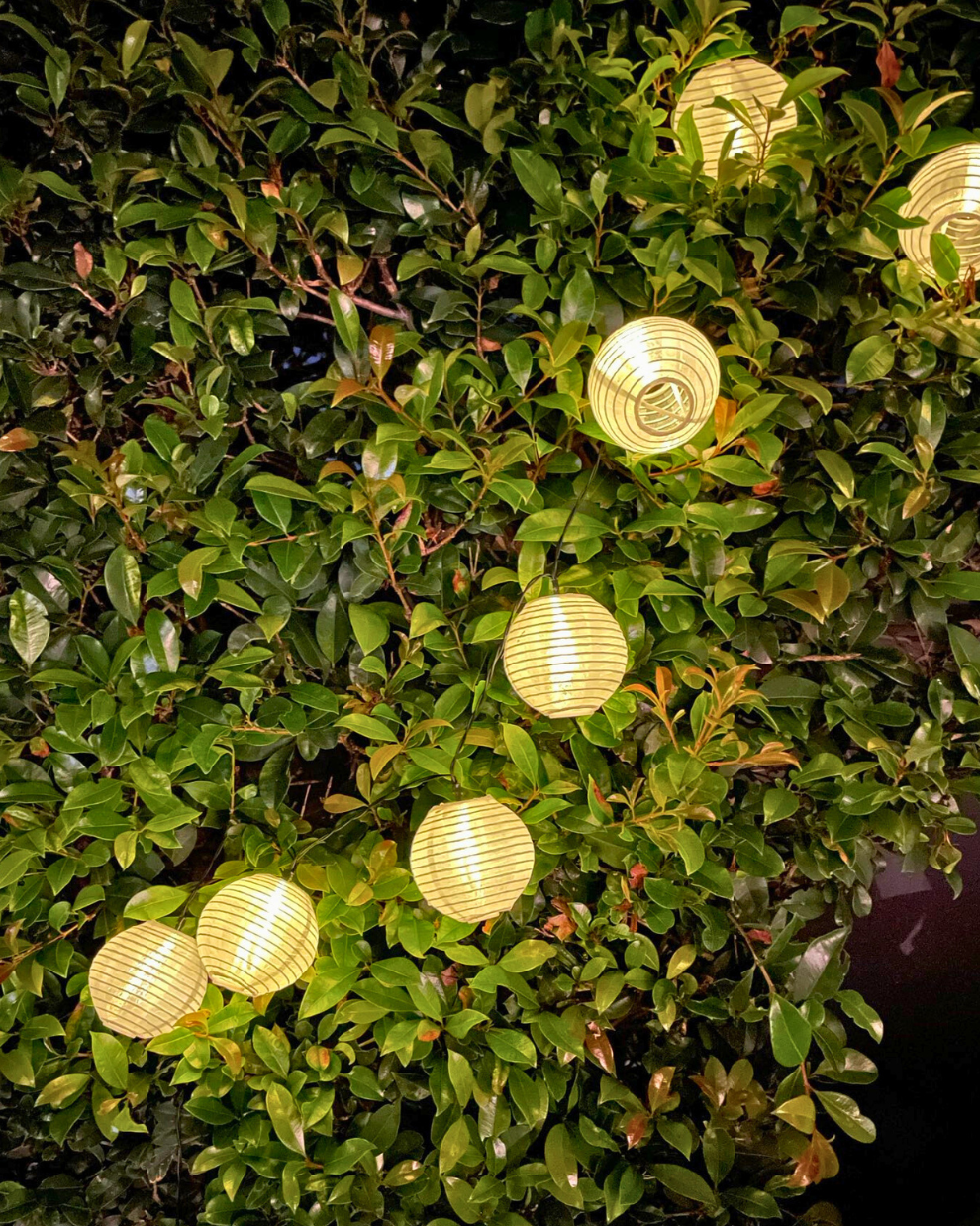 Solaris Lantern String Lights